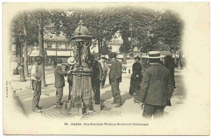 Fontaine Wallace Sebastopol