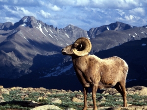 Colorado Rocky Mountain Park