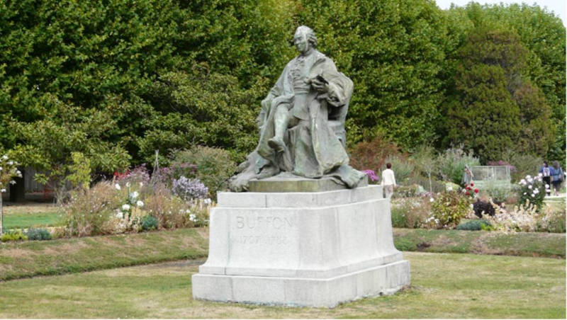 statue Buffon jardin des plantes