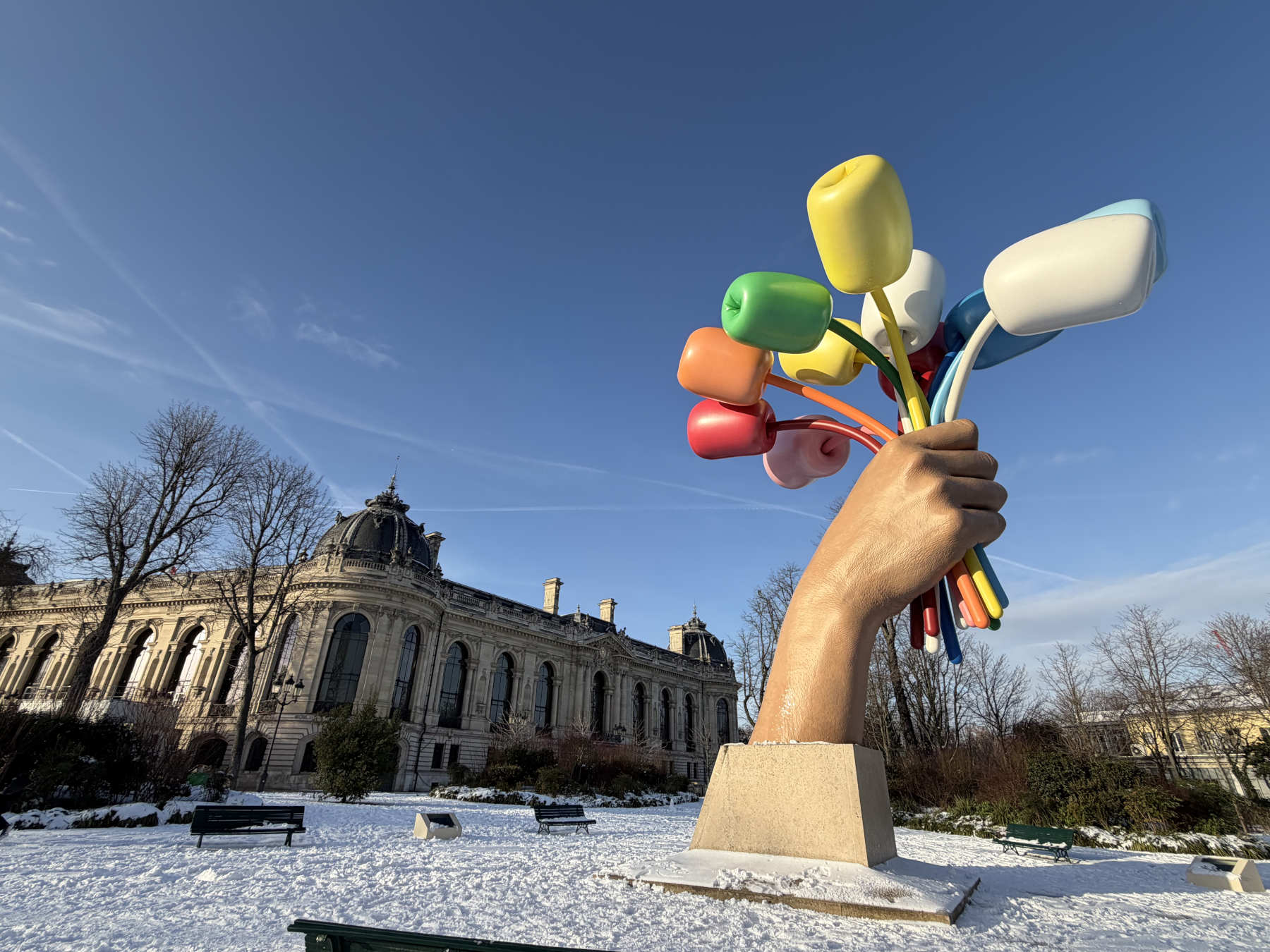 Bouquet of tulips paris